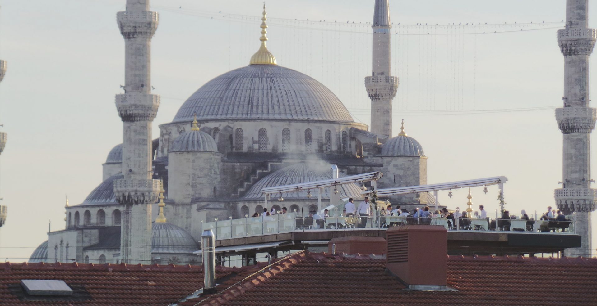 Let’s Talk Turkey